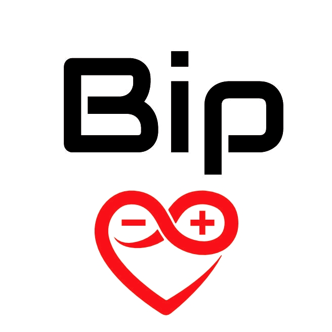 BIP Logo 3